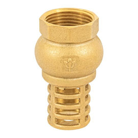 Pichancha con rejilla de laton 1', Foset